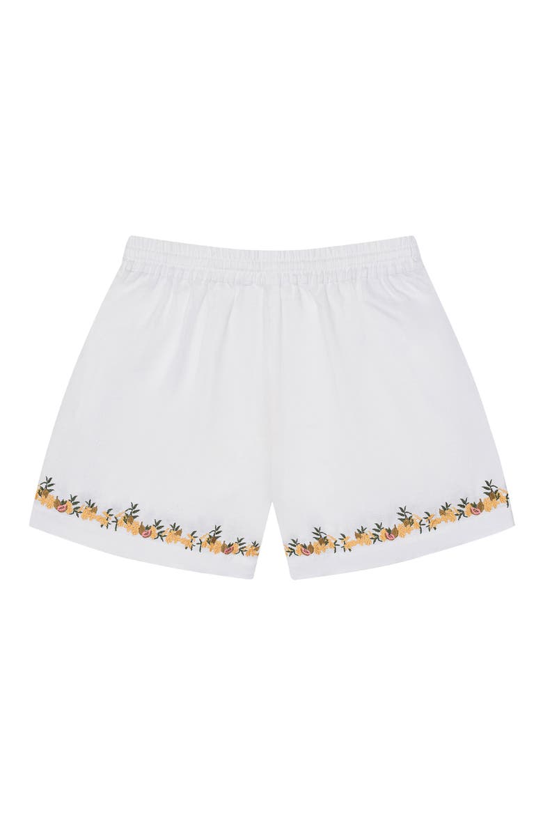 Embroidered Linen Blend Shorts, Alternate, color, BEIGE MULTI