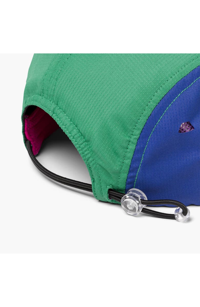 Turtle Fur Way Out 5-Panel Hat, Alternate, color, Purple Dawn