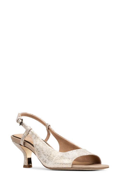 Donald Pliner Grinn Peep Toe Slingback Sandal In Brown