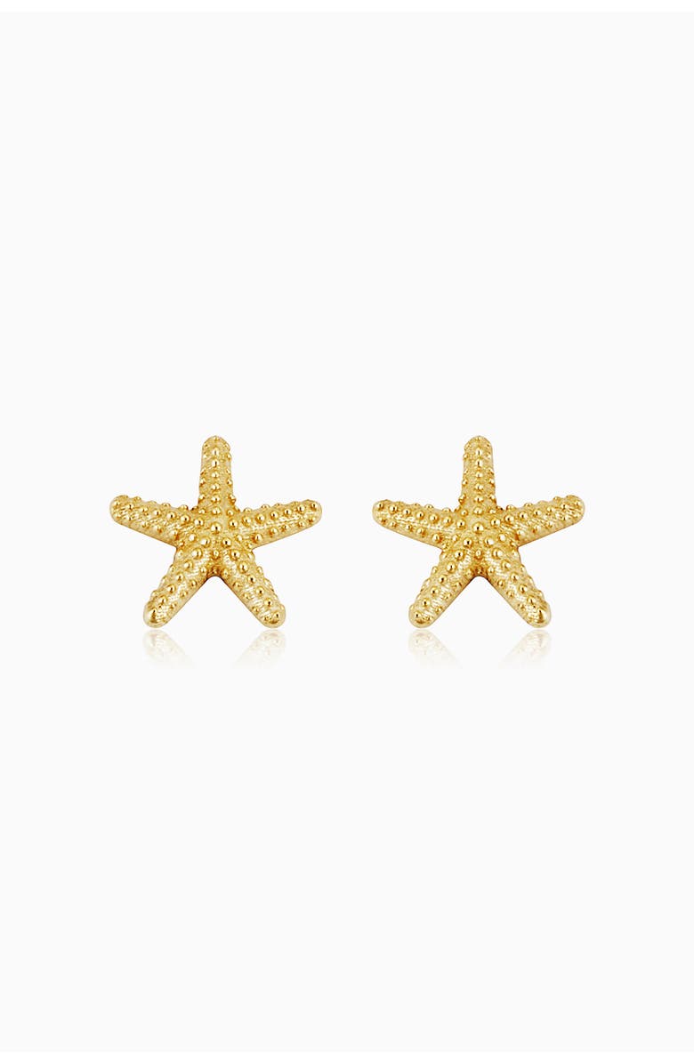 Oradina 14K Yellow Gold Starfish Studs, Main, color, Yellow Gold