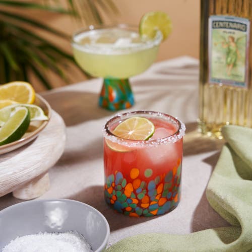 Twine Segunda Vida Viajar Margarita Glasses Set Of 2