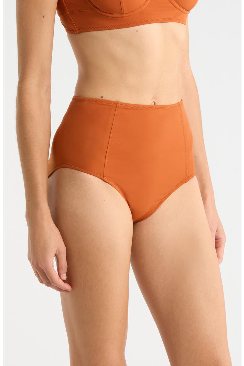 Zahara High Waist Bikini Bottoms, Alternate, color, SIENNA