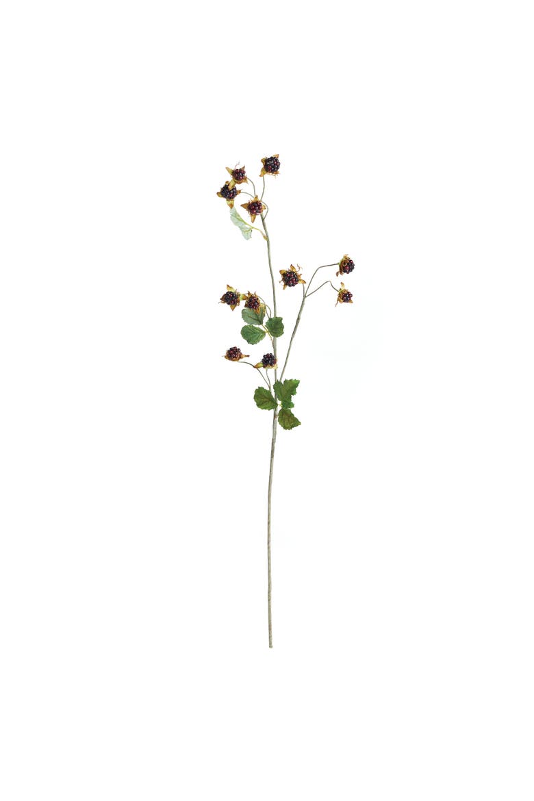 Wild Blackberry Artificial Stem 31", Main, color, Black