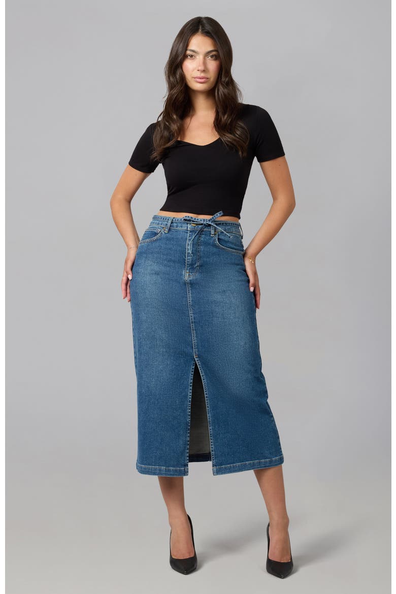Halston High Rise Maxi Skirt, Alternate, color, Film Noir