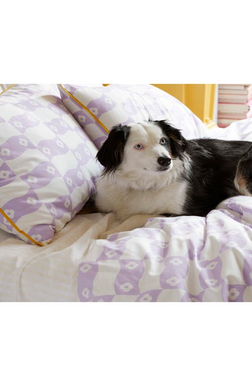 NOVOGRATZ NOVOGRATZ NOVAGRATZY COMFORTER & SHAMS SET 