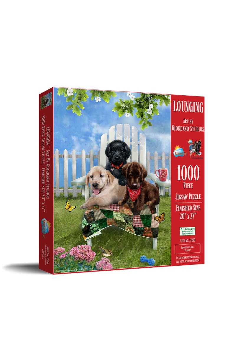 Sunsout Lounging 1000 piece Jigsaw Puzzle for Adults, Main, color, Multicolor