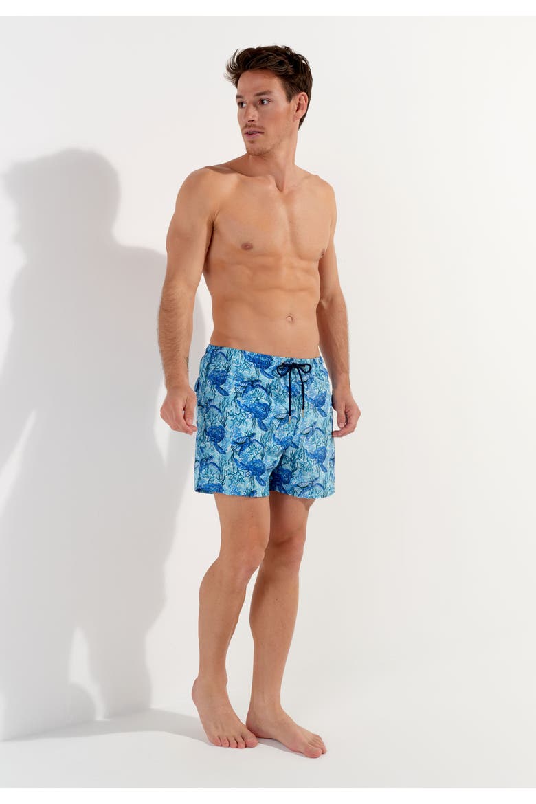 Tartane Beach Boxer, Alternate, color, Blue Print