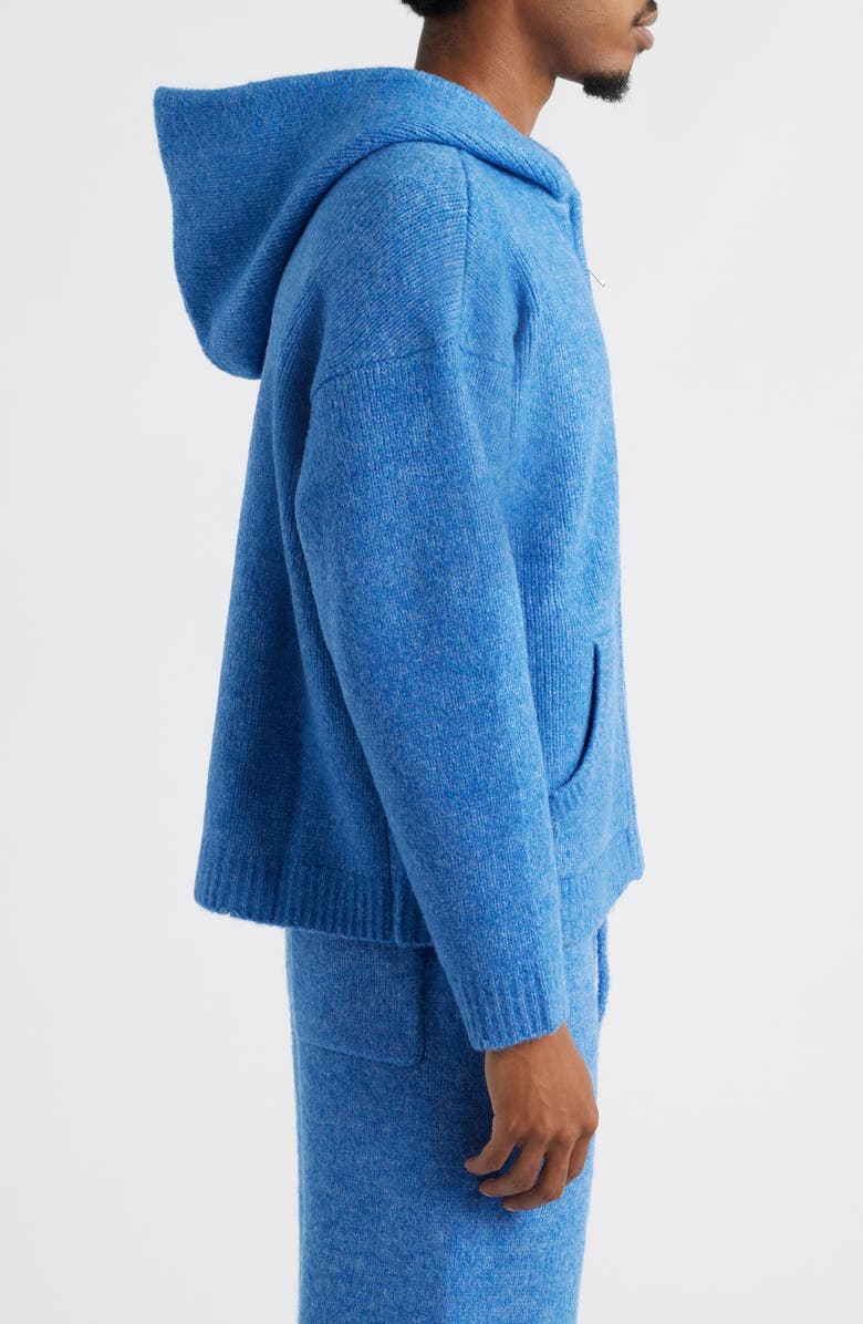 Elwood Hooded Zip Cardigan, Alternate, color, Blue