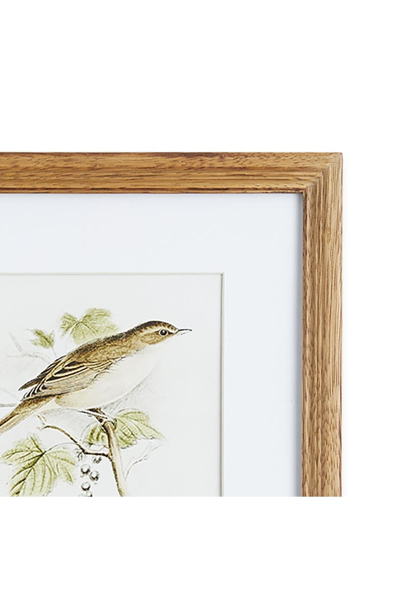 Perching Bird Study Petite Set of 4, Alternate, color, Green