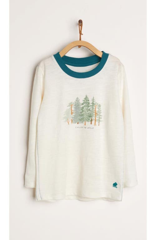 Babycottons T-shirt Taylor Explorer In Multi