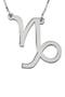  Sterling Silver - Capricorn