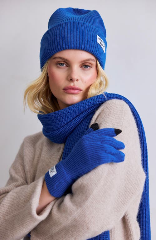Arctic Fox & Co. Arctic Fox & Co The Recycled Bottle Gloves In Blue