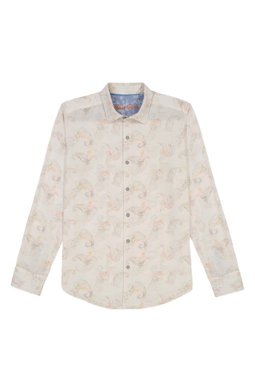 Robert Graham Alibon Long Sleeve Button Down Shirt Tall In White