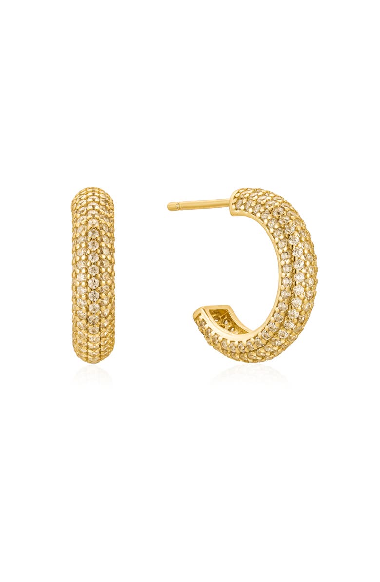 Untamed Petals Brookes Crystal Hoops, Main, color, Gold