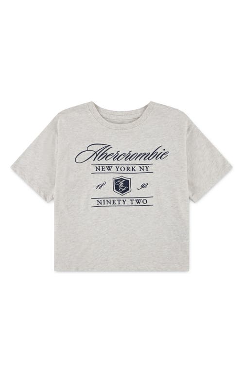 Abercrombie Kids Kids' Logo Graphic T-shirt In Gray