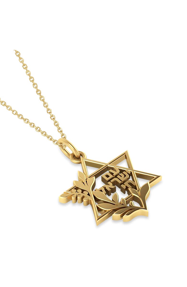 ALLUREZ Jewish Star Of David Am Yisrael Chai Pendant Necklace 14K, Alternate, color, 