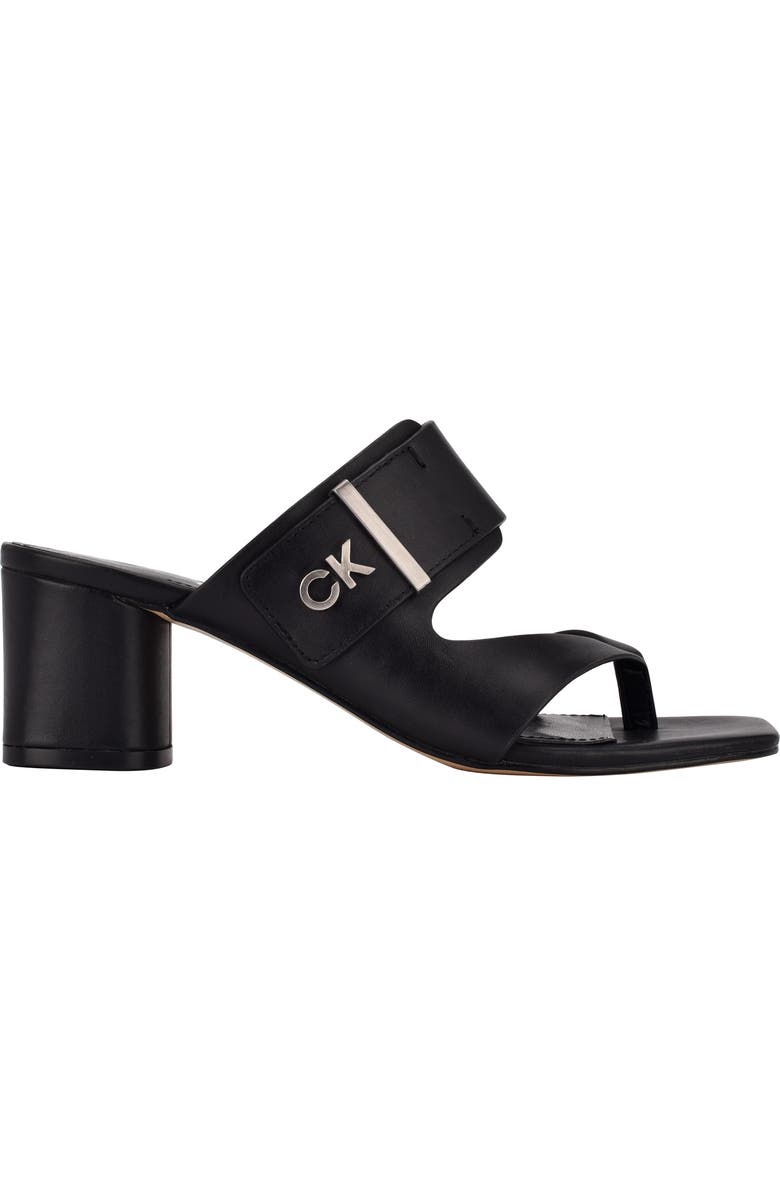 Calvin Klein Briella Block Heel Sandal, Alternate, color,
