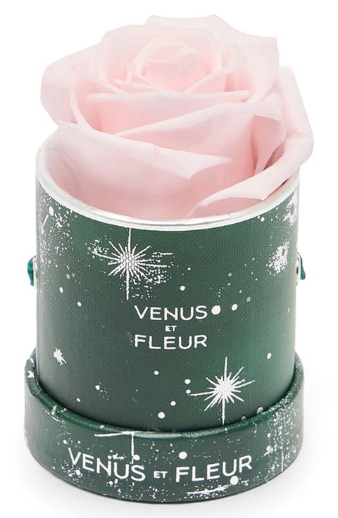 Mini Round Holiday Zodiac Pink Eternity Rose®