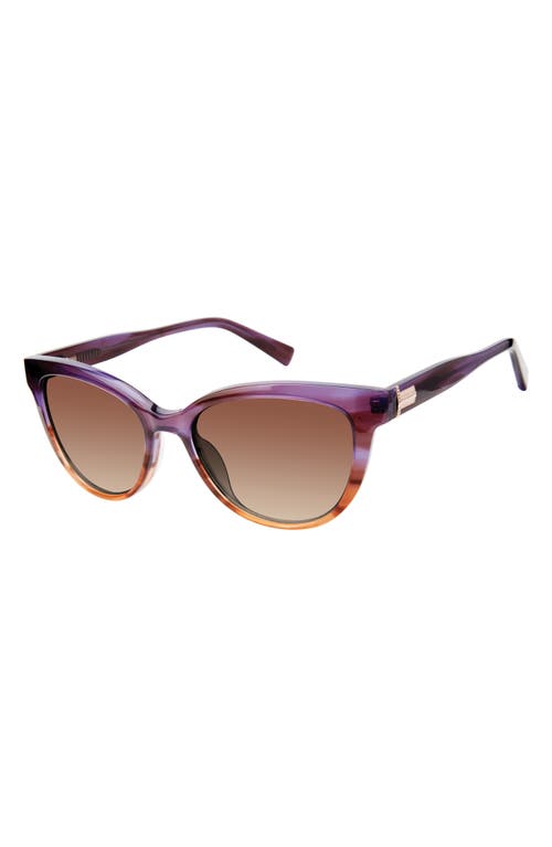 Ted Baker 54mm Cat Eye Sunglasses In Brown