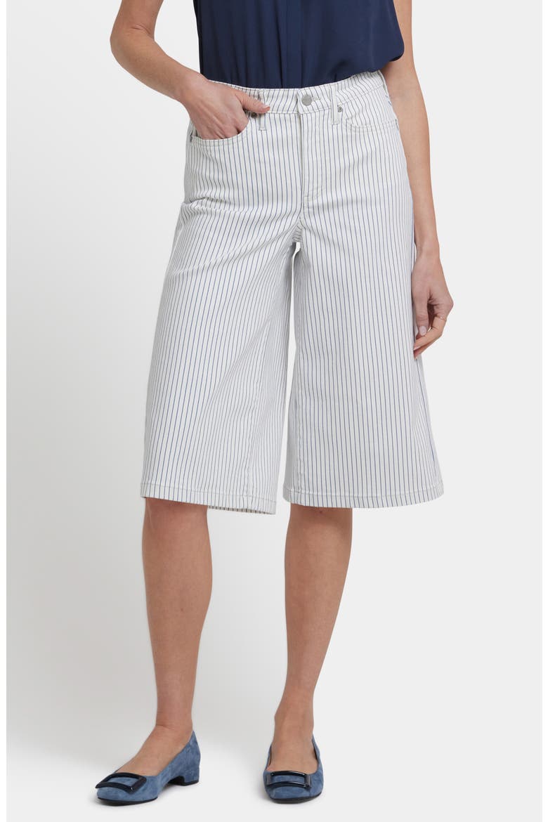Amelia Culotte Jeans, Main, color, PALENCIA STRIPE