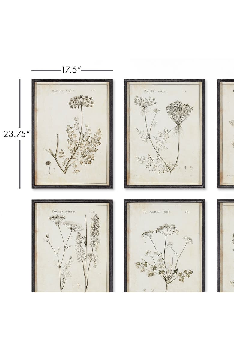 Wildflower Study Set of 6, Alternate, color, Green