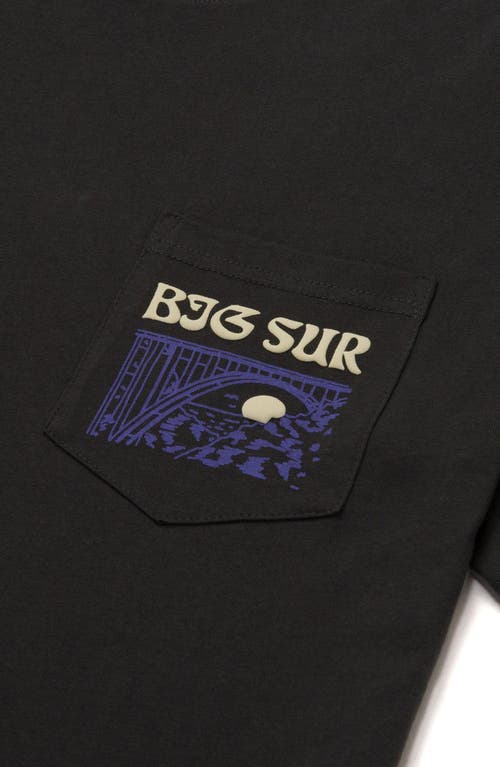 Parks Project Big Sur Bridges Puff Print Pocket Tee