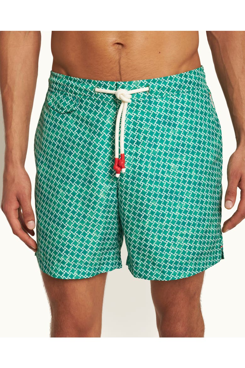 Standard Printed Mid-Length Drawcord Swim Shorts, Alternate, color, Caddie Green