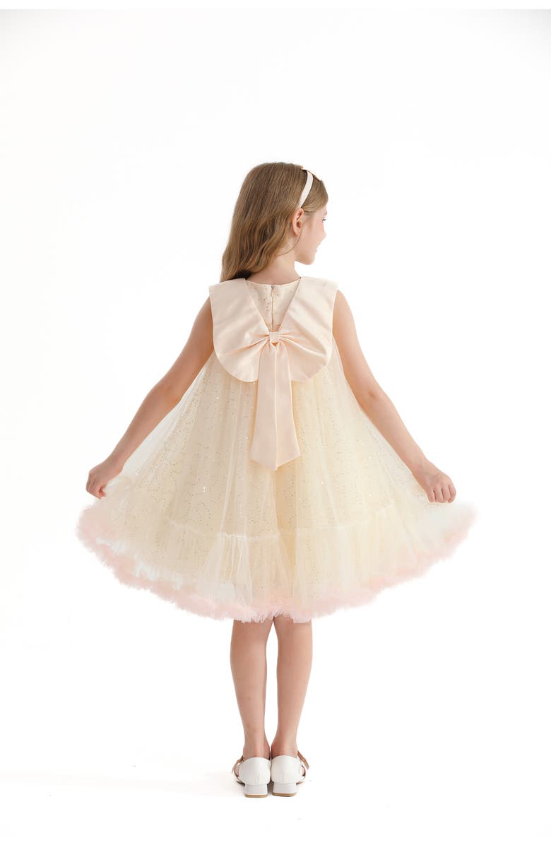 Tulleen Caledonia Dress, Alternate, color, Champagne