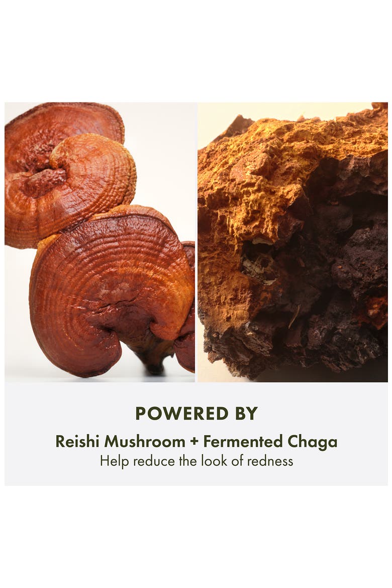 Mega-Mushroom Relief & Resilience Fortifying Emulsion, Alternate, color, NO COLOR
