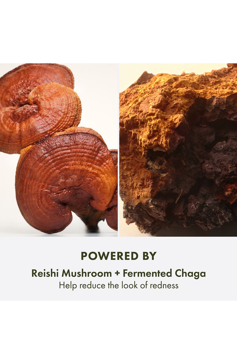 Origins Mega-Mushroom Relief & Resilience Fortifying Emulsion, Alternate, color,