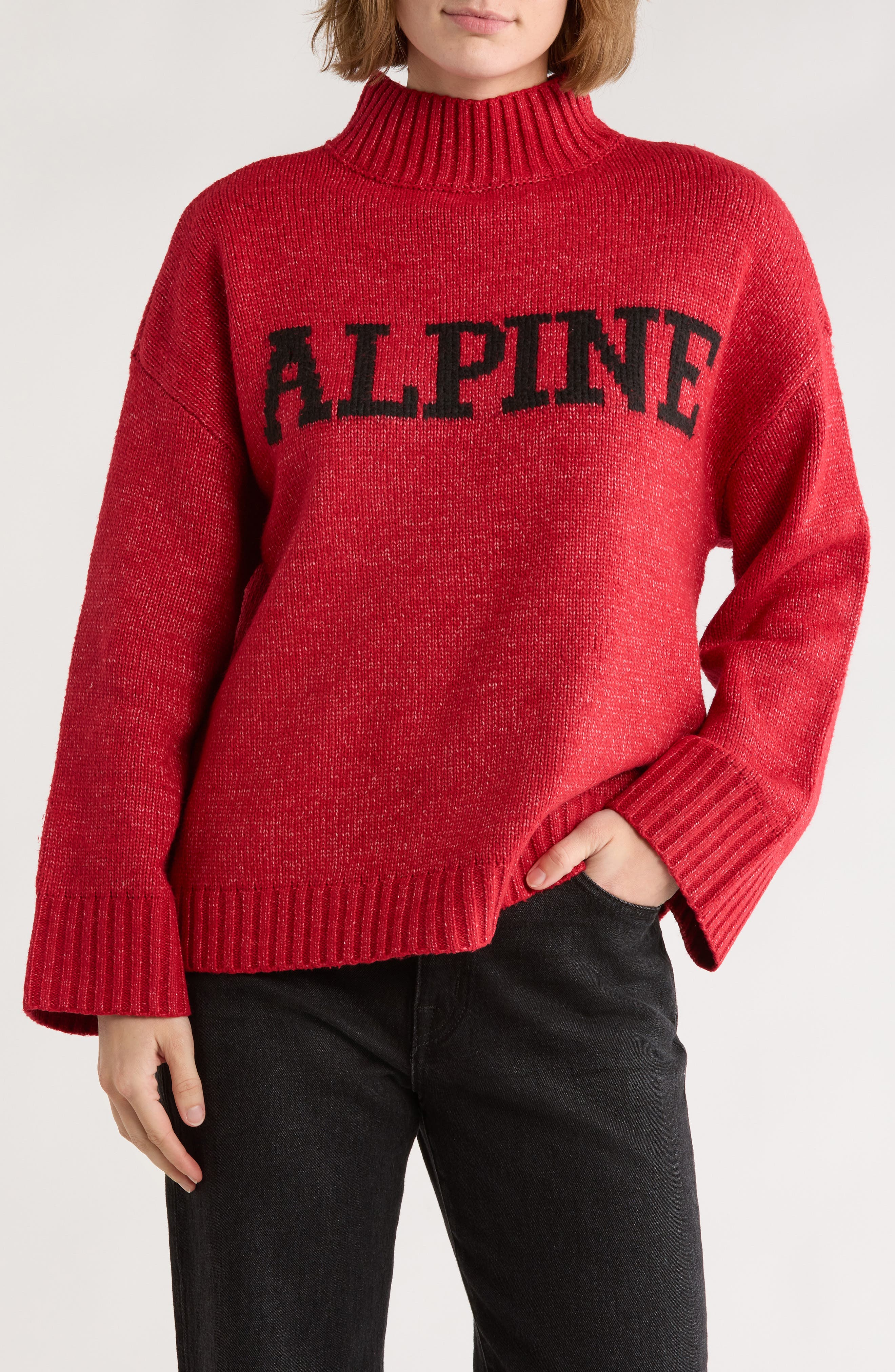 Sanctuary Alpine Mock Neck Sweater