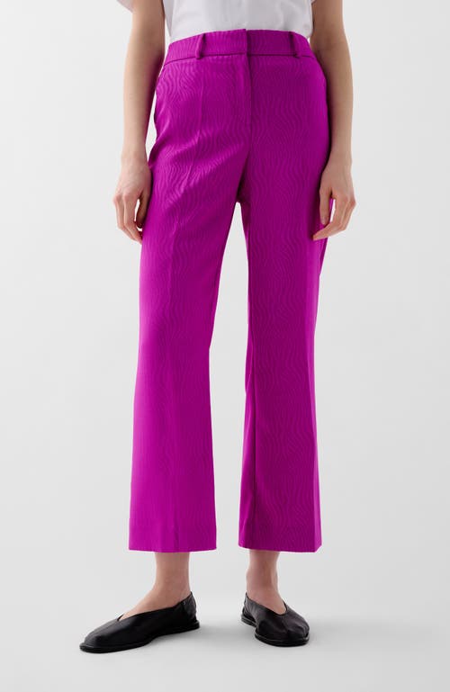 Scalpers Nujac Pant In Pink