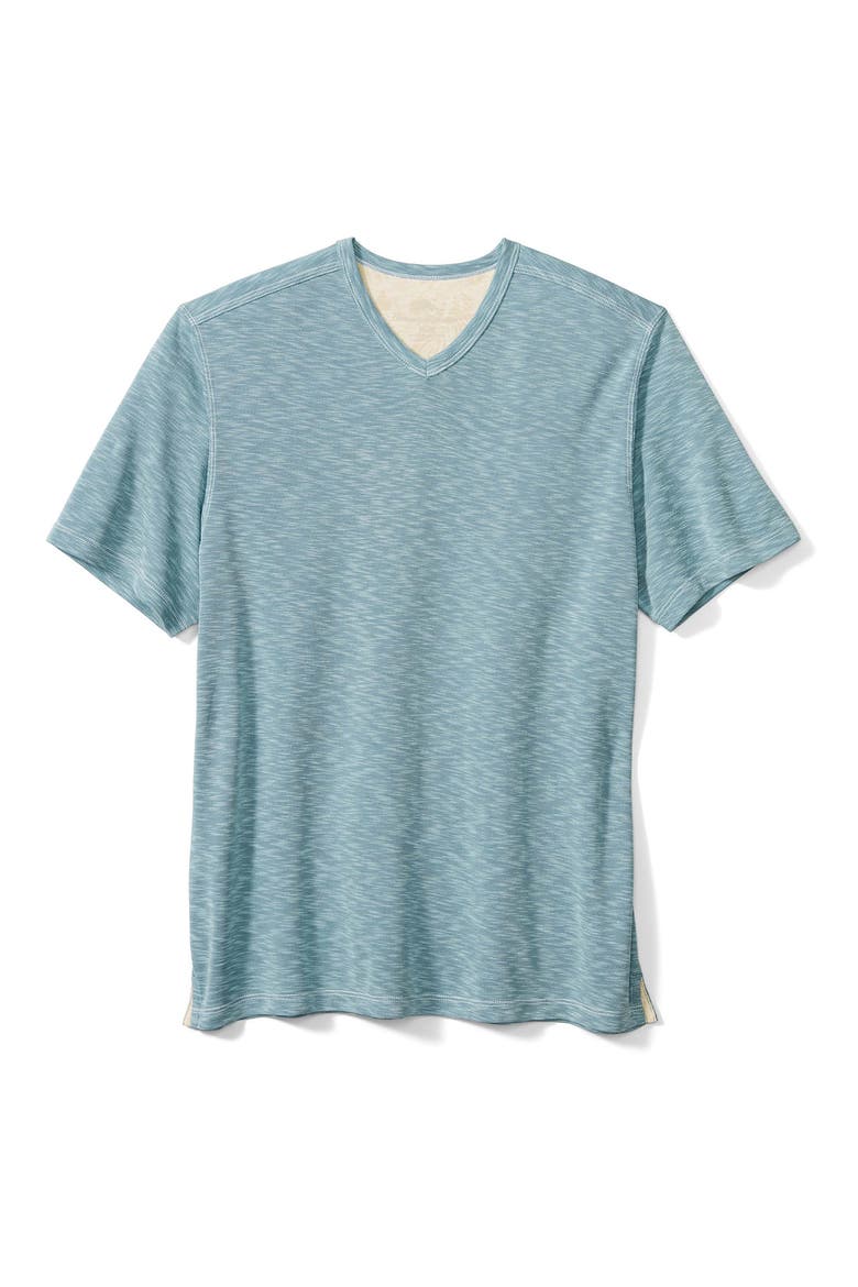 Palmetto Paradise V-Neck T-Shirt, Main, color, AT SEA