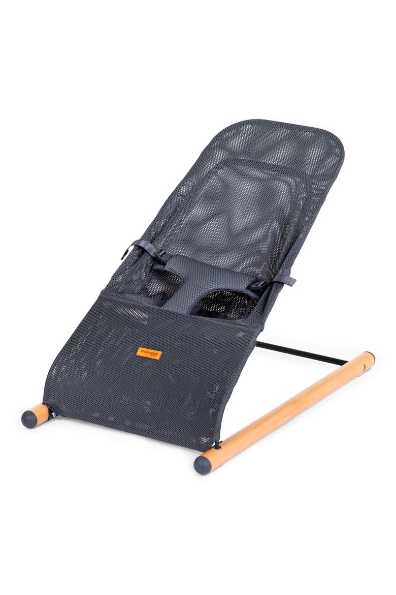 Evolux Baby Bouncer, Main, color, ANTHRACITE