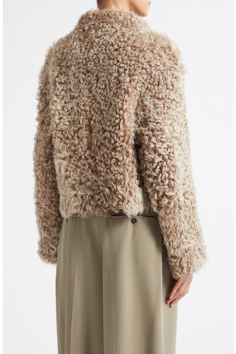 Mooneyforest Vega Genuine Shearling Jacket, Alternate, color, CAMEL