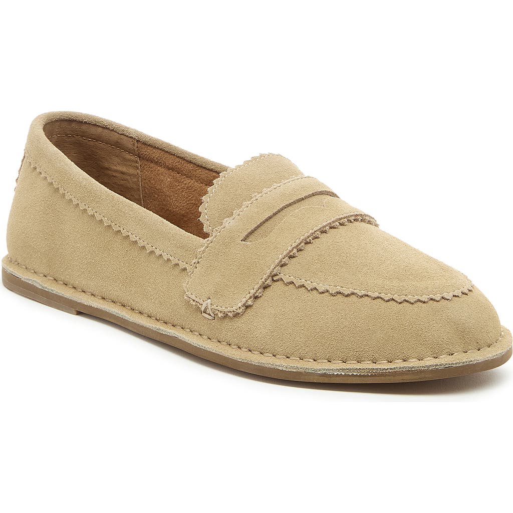 Kelsi Dagger Brooklyn Harley Penny Loafer in Oatmeal at Nordstrom, Size 9
