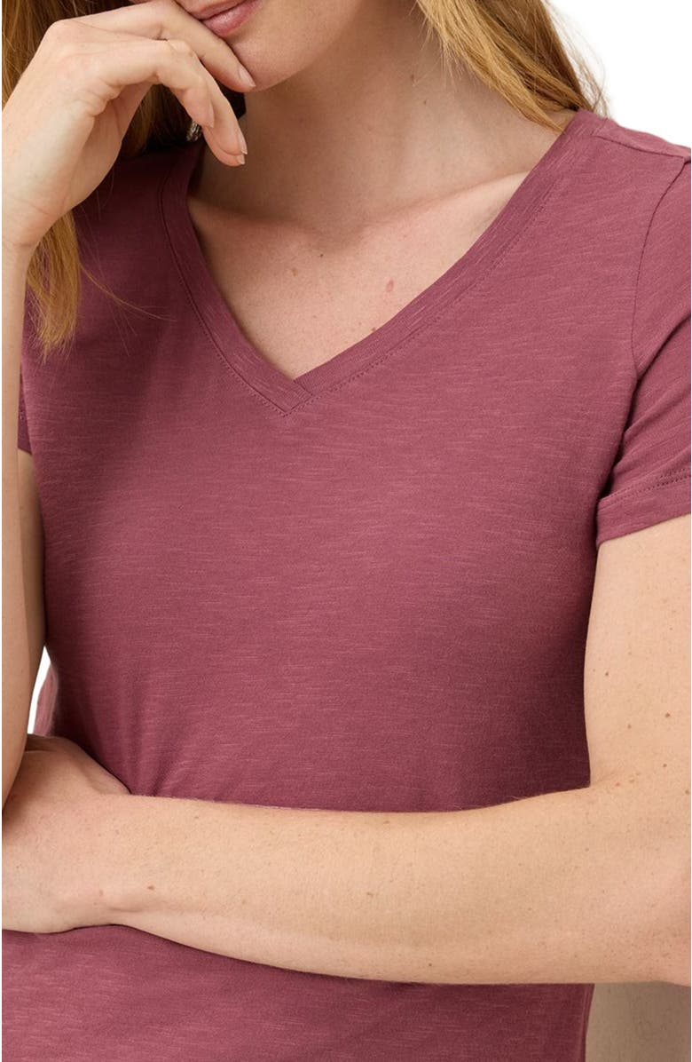 Pact Organic Cotton Featherweight Slub V-Neck Tee, Alternate, color, Mauve