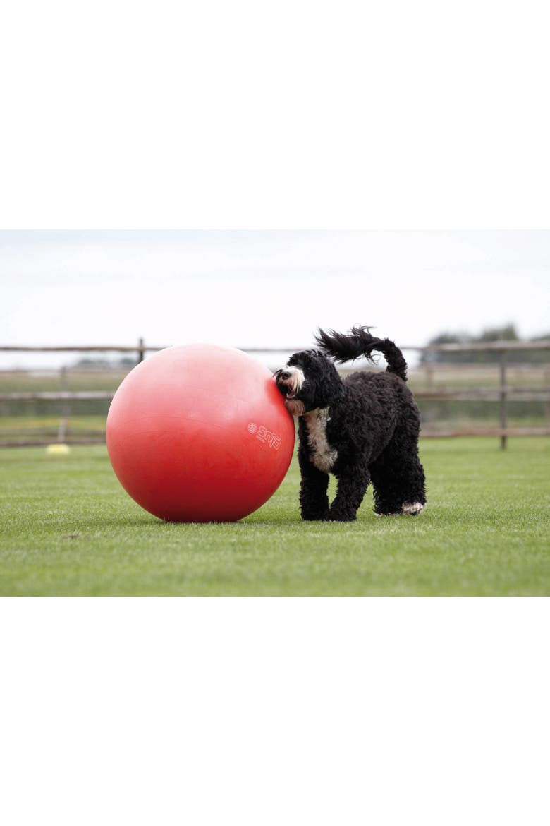 Plus Ball 75 - Green, Alternate, color, Red
