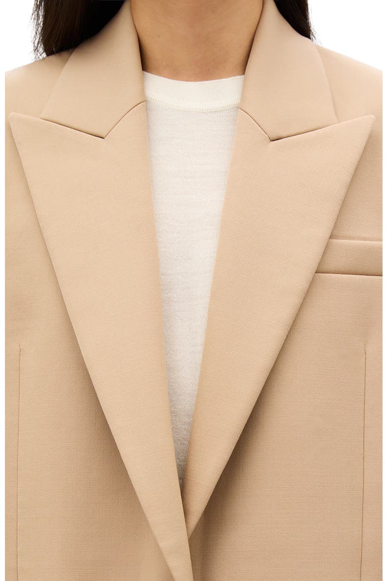 Wool Oversized Tailored Jacket, Alternate, color, Camel