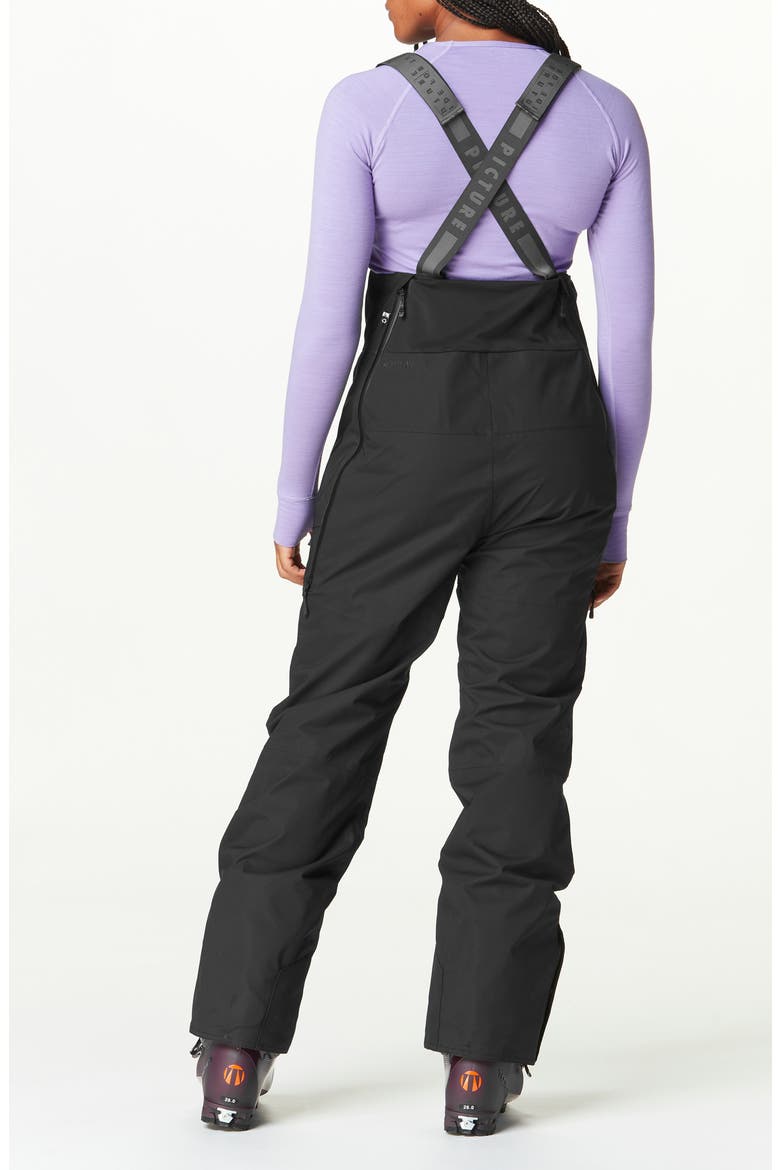 Elwy Waterproof Insulated Snow Bib, Alternate, color, BLACK