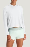 Free Fly Shade Crossover Hoodie