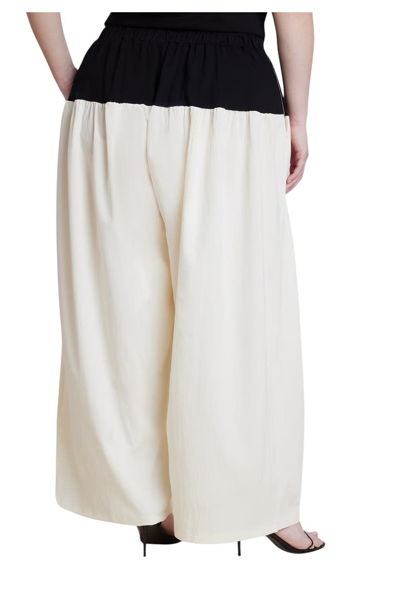 Colorblocked Wide Leg Pant, Alternate, color, BLACK AND WHITE