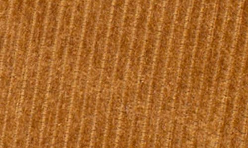 Goorin Bros . Panthuroy Panther Patch Corduroy Trucker Hat In Brown