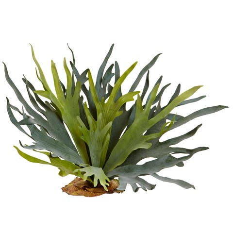 21-in Staghorn Fern (Set of 2)