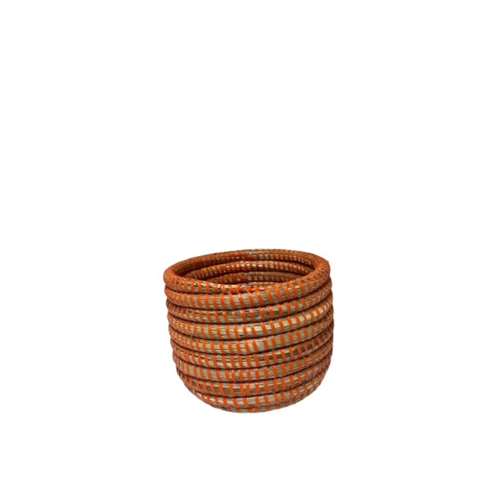 Mbare Succulent Basket Planter Success In Orange