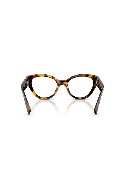 Miu Miu 52mm Phantos Optical Glasses In Brown