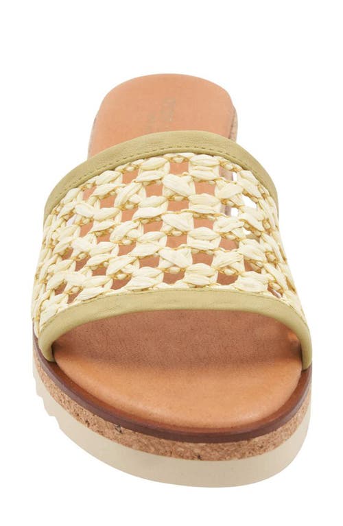 Andre Assous André Assous Nessie Platform Wedge Sandal In Pistachio