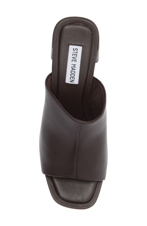 Steve Madden Ammanda Mule In Brown
