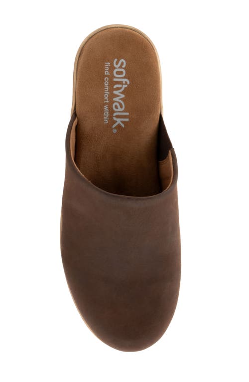 Softwalk ® Felida Platform Mule In Brown Oily