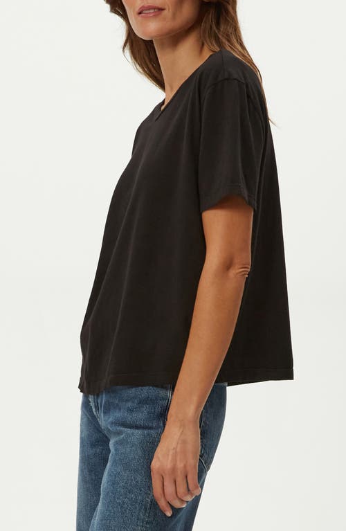 Michael Stars Nina Cotton T-shirt In Black